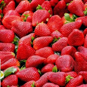 FRAISES BIO 250G