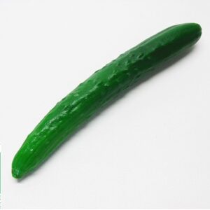 CONCOMBRE BIO 1 pièce