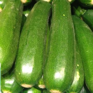 COURGETTE BIO 1Kg